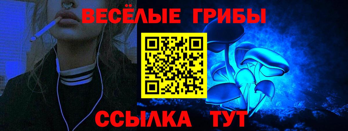 Псилоцибиновые грибы MAGIC MUSHROOMS  как найти   Вход с VPN  Железноводск  Псилоцибиновые грибы Magic Shrooms 